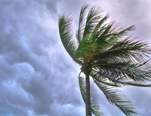 Organisational Stresswood: How a little adversity is required to become resilient